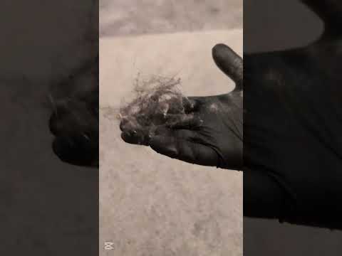 Oulu carpet cleaning short clip | PuhdasFix home & textile cleaning